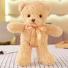30cm/35cm Soft Teddy Bear